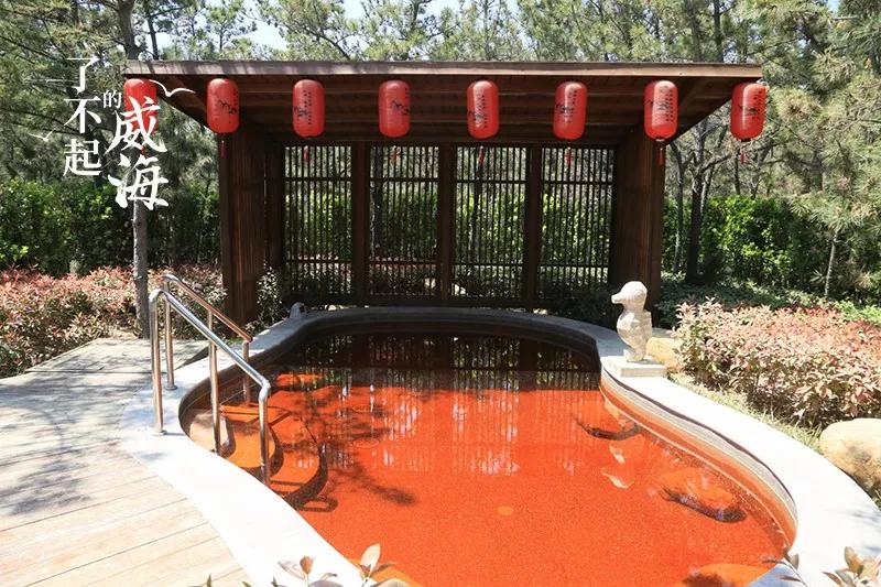 威海泡汤推荐,威海温泉有什么规划