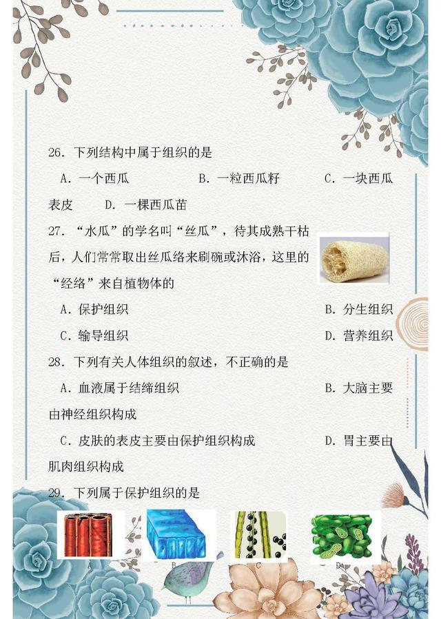 初一生物期末测试卷题及答案,2022年初一上册生物期末测试卷