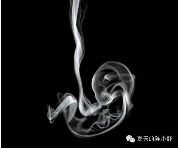 孕期饮食基本知识 (孕期饮食小知识)