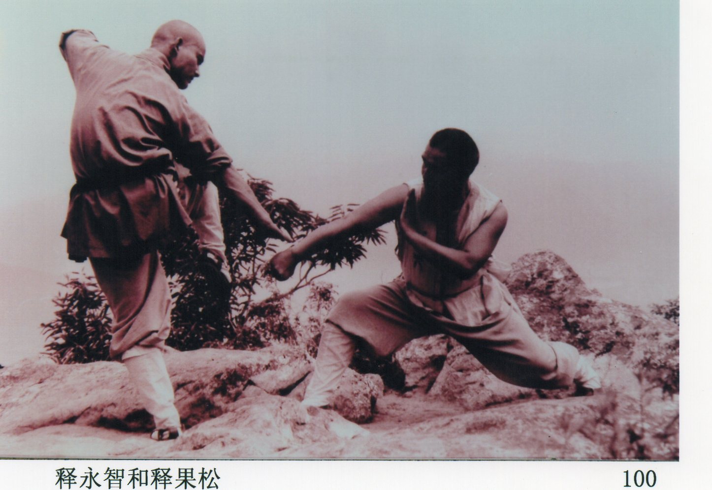 登封少林寺释永智罗汉院视频,河南嵩山少林寺释永信功夫