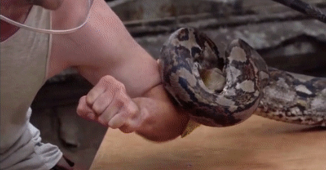 被毒蛇咬伤有多痛苦,被毒蛇咬伤后有哪些临床表现呢