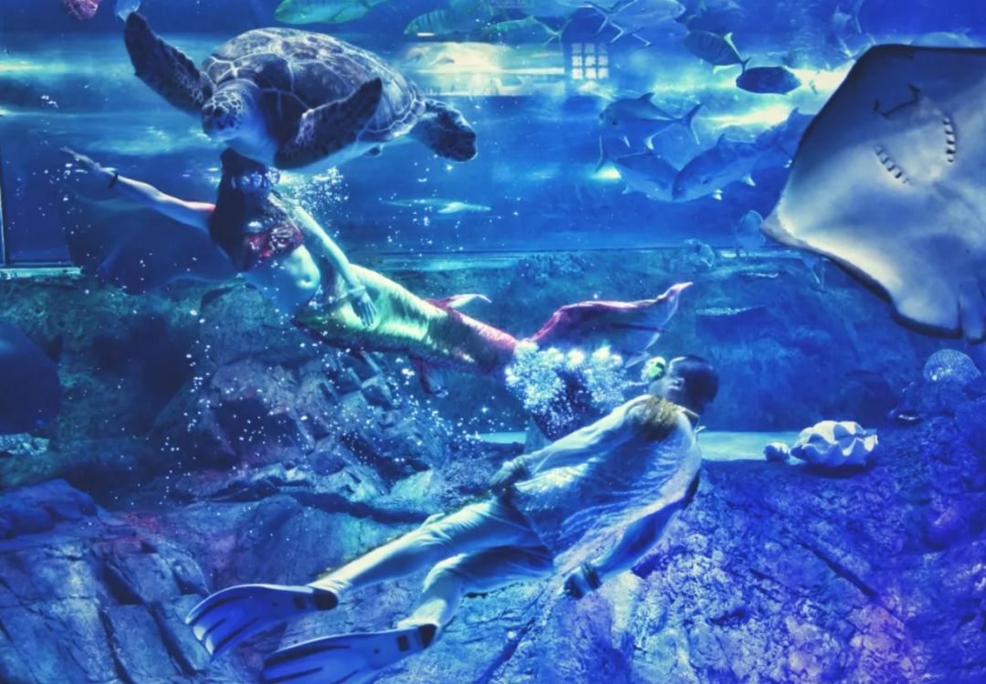 南京海底世界小朋友要票吗,南京海底世界99元一大一小套票