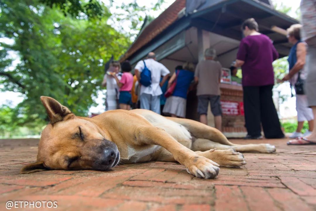 最后一代全画幅单反,十年前的单反推荐全画幅