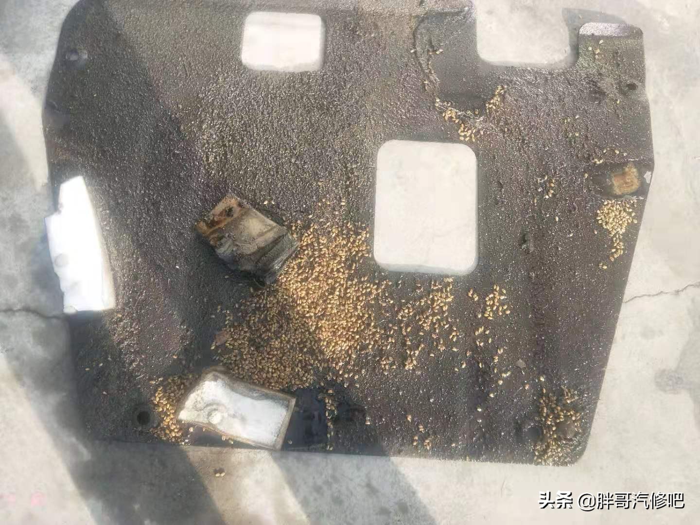 3万多能买到哪一年的crv,3万买crv