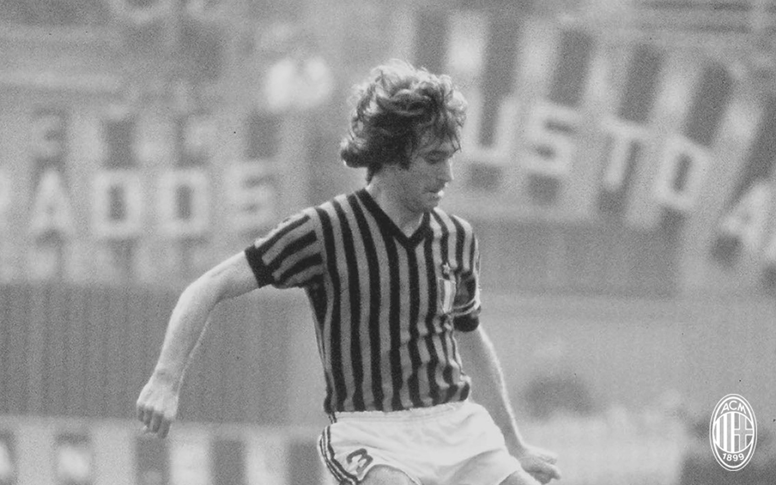 3号旗党旗,3号旗帜多大