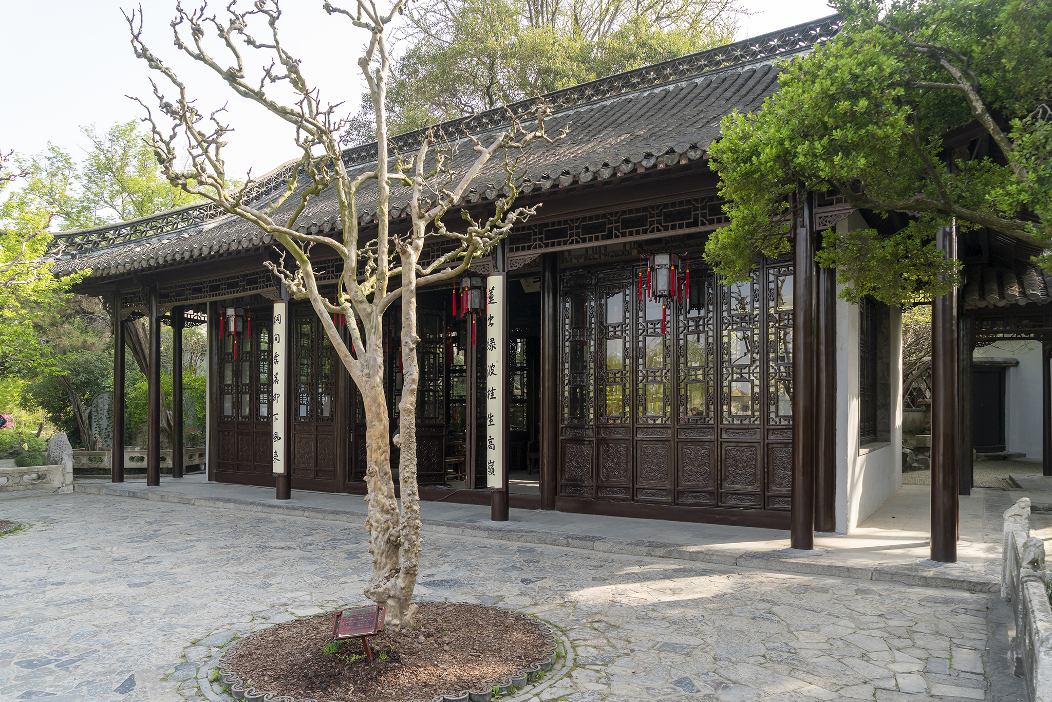 烟雨江南扬州瘦西湖,扬州春风十里瘦西湖