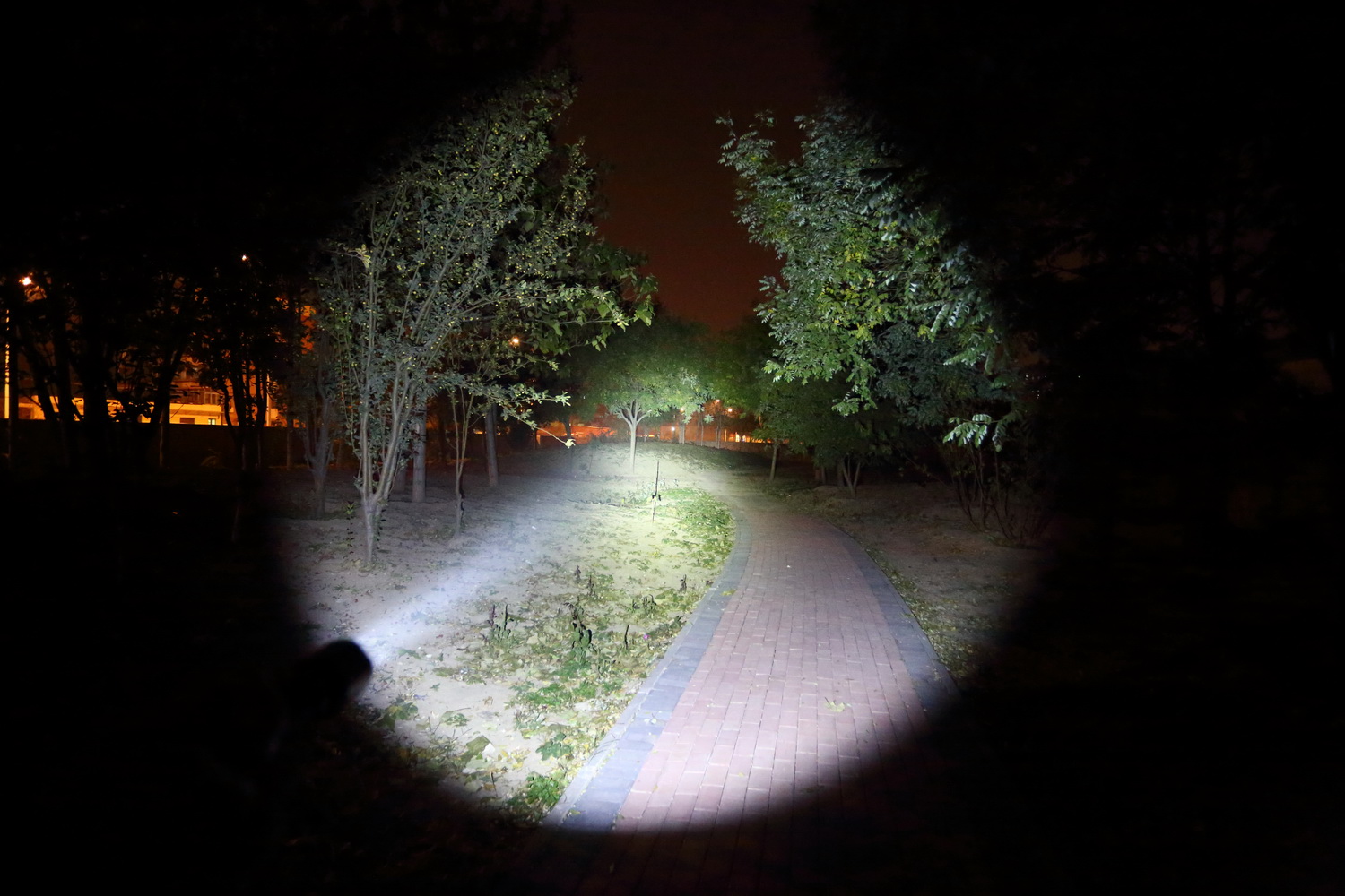 回归操作本质FENIXTK11TAC机械双模式战术电筒评测