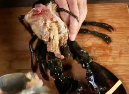 波士顿大龙虾死了怎么保存过夜,波士顿大龙虾怎么杀视频