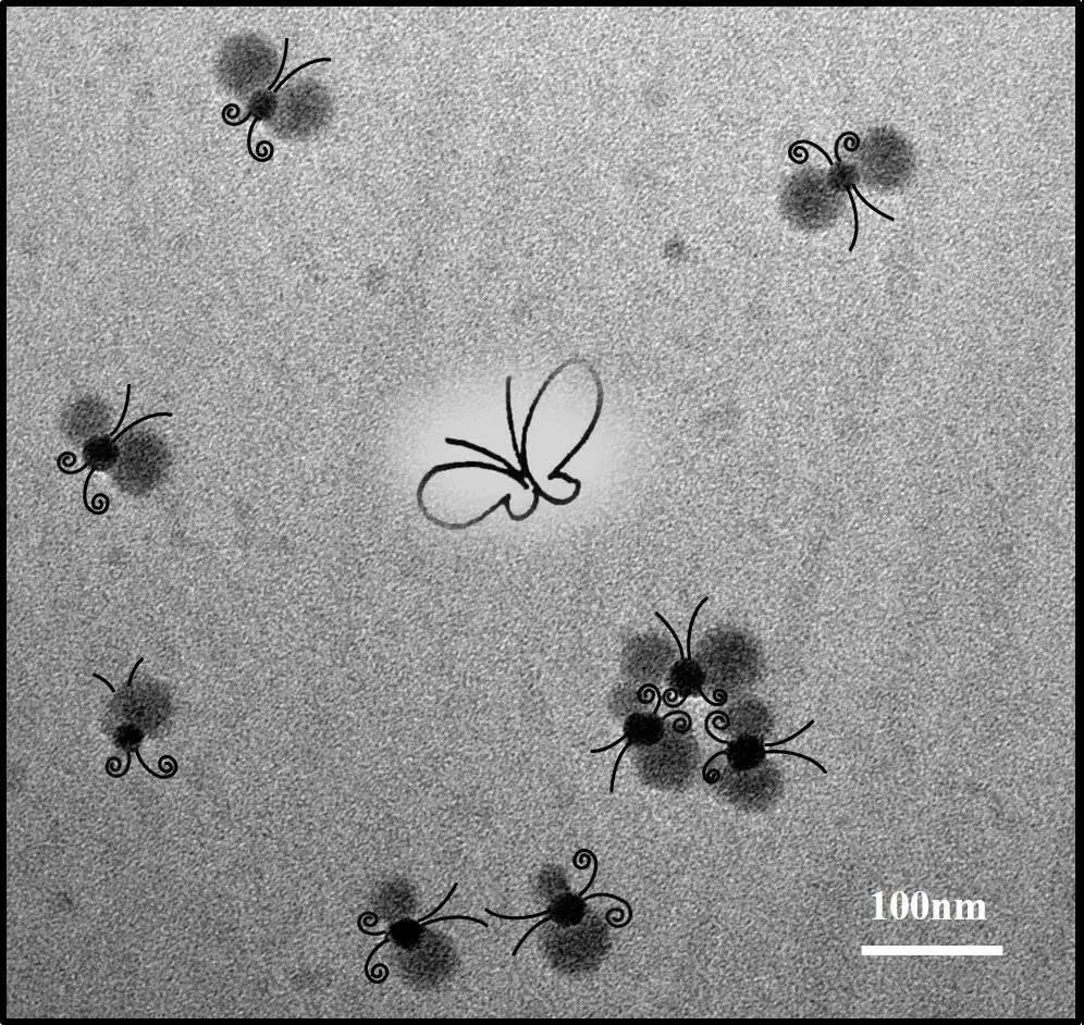 绉戠爺澹佺焊,绉戠爺浜虹殑鏂板勾澹佺焊