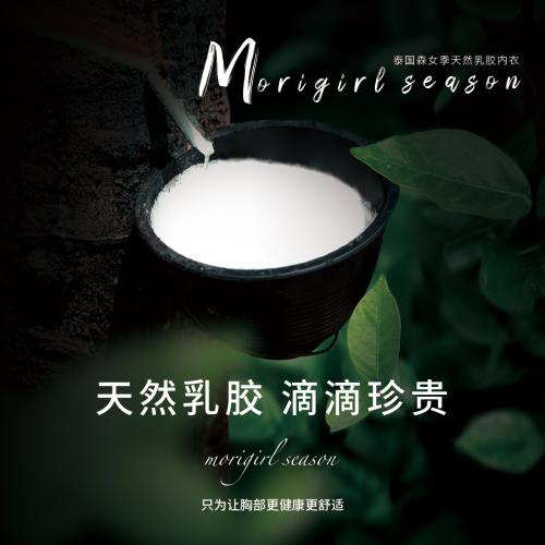 第三届中国国际进口博览会，泰国森女季天然乳胶内衣好项目