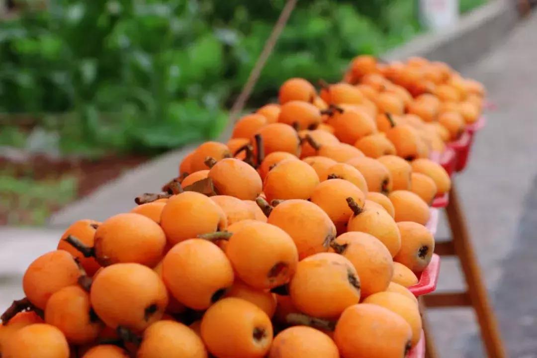 自驾旅游沿着g30高速公路看风景,沿g318去拉萨一路海拔