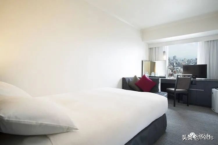 日本滑雪度假屋北海道,东京北海道箱根