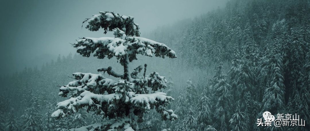 京山凉爽的旅游景点有哪些,生态京山景点