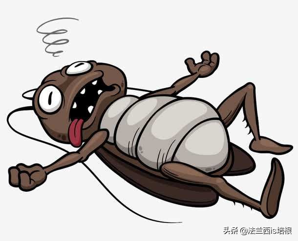 蟑螂为什么生命力那么顽强不白吃,一代更比一代强的家居蟑螂