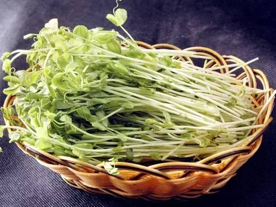 衣服染上了别的颜色怎么才能洗掉,衣服上染上别的颜色怎么才能洗掉