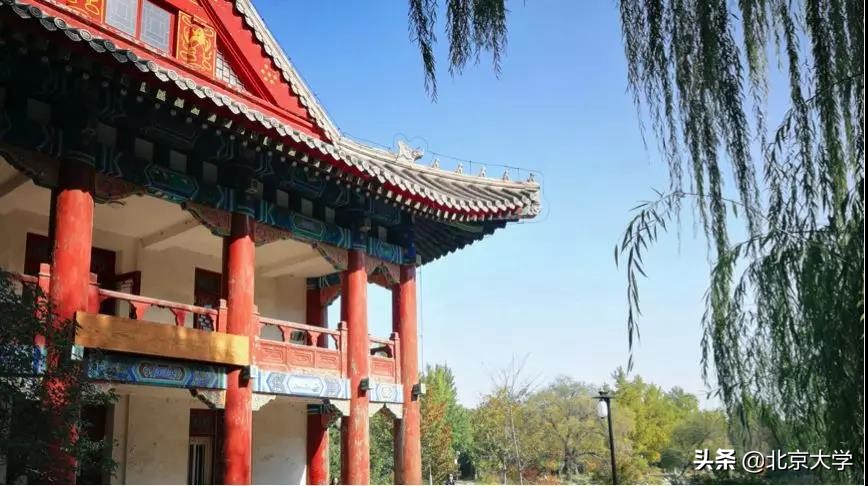 探园|燕园有多少个图书馆？