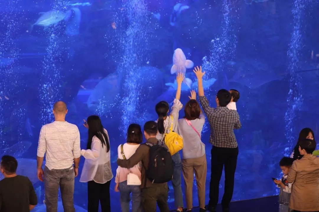 赛场上“血拼”,赛场外双流这些地方等你来shopping……