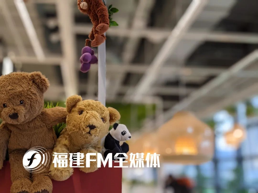 福州宜家怎么逛,福州宜家小朋友一日游