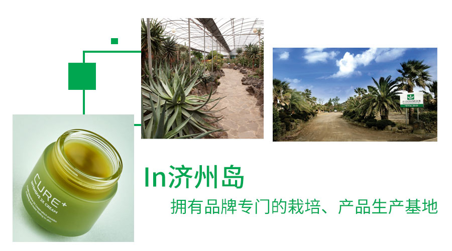 金正文芦荟霜为什么又名万能霜,金正文芦荟霜的功效