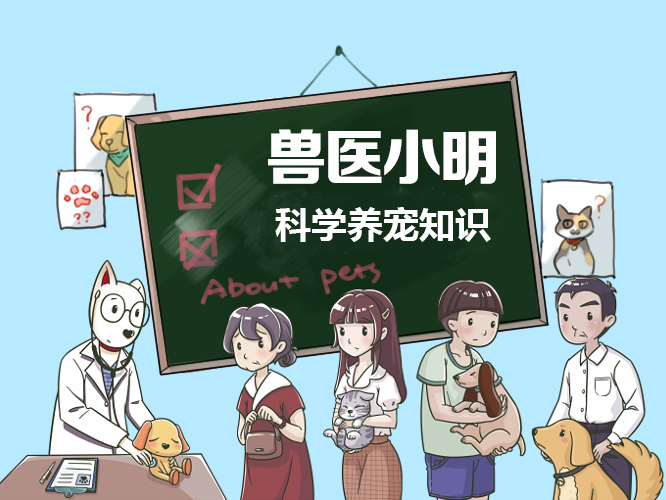 狗狗能尝出西瓜的味道吗,狗狗到底知不知道酸甜苦辣