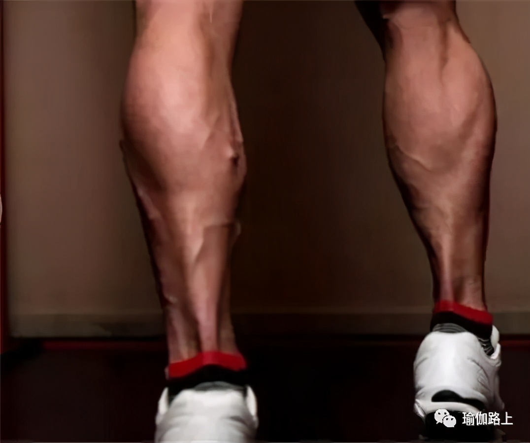 如何瘦小腿拉伸小腿,小腿拉伸图解萝卜腿