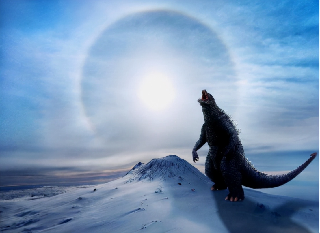 日本船员捕捉到海怪,日本人发现的海中怪物巨大