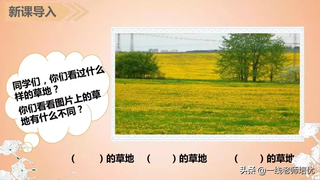 三年级语文金色的草地展现了什么,语文三年级上金色的草地课文讲解