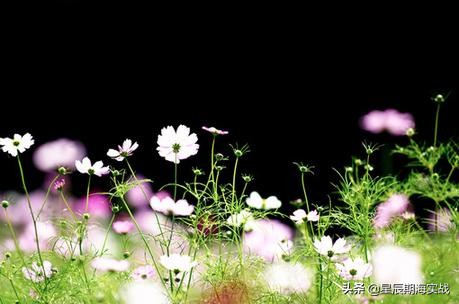 想要做好短线,想做好期货怎么入门