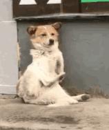 秋冬保湿补水必备,秋冬季节不能少了滋润保湿的步骤