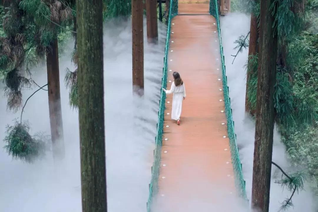 李子柒令人向往的世外桃源生活,李子柒记录的简单淳朴的田园生活