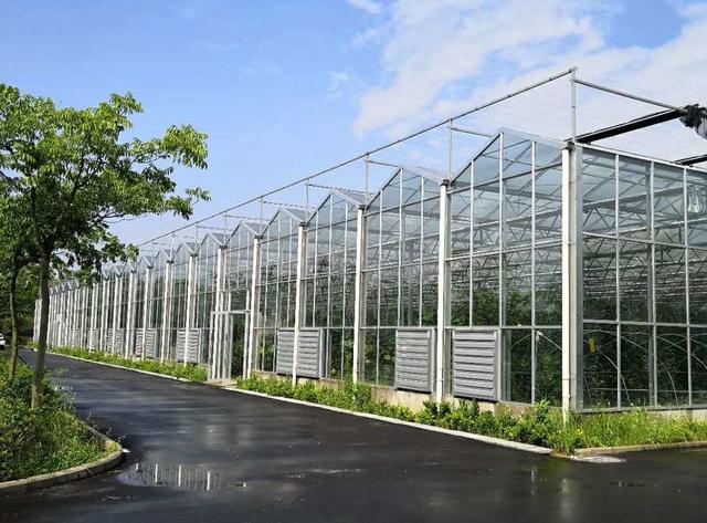 智能玻璃温室大棚一平方要多少钱,草莓连栋玻璃大棚造价多少钱一平