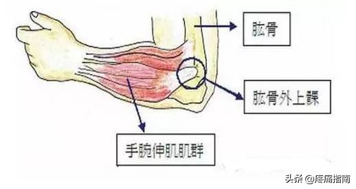疼痛调理手法,疼痛治疗技巧视频
