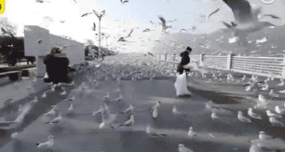 中国人不出门全世界会怎样,中国去哪的机票便宜