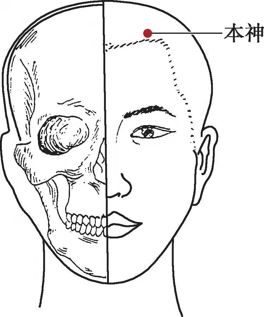国医大师吕景山大夫,吕景山国医大师视频