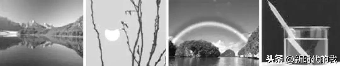 光学部分知识点总结及习题演练