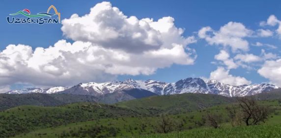 中国到乌兹别克斯坦物流专线,中国发乌兹别克斯坦快递费用