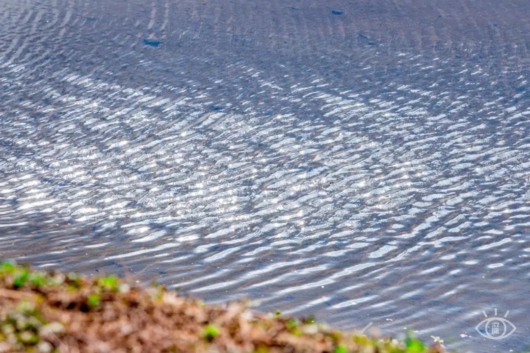 天下最美湖泊西湖,比西湖更美的湖泊