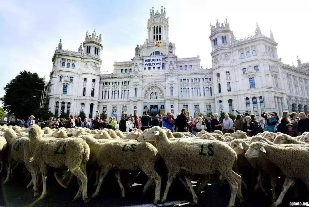 全球黄金奶源带分布图,全球黄金奶源地