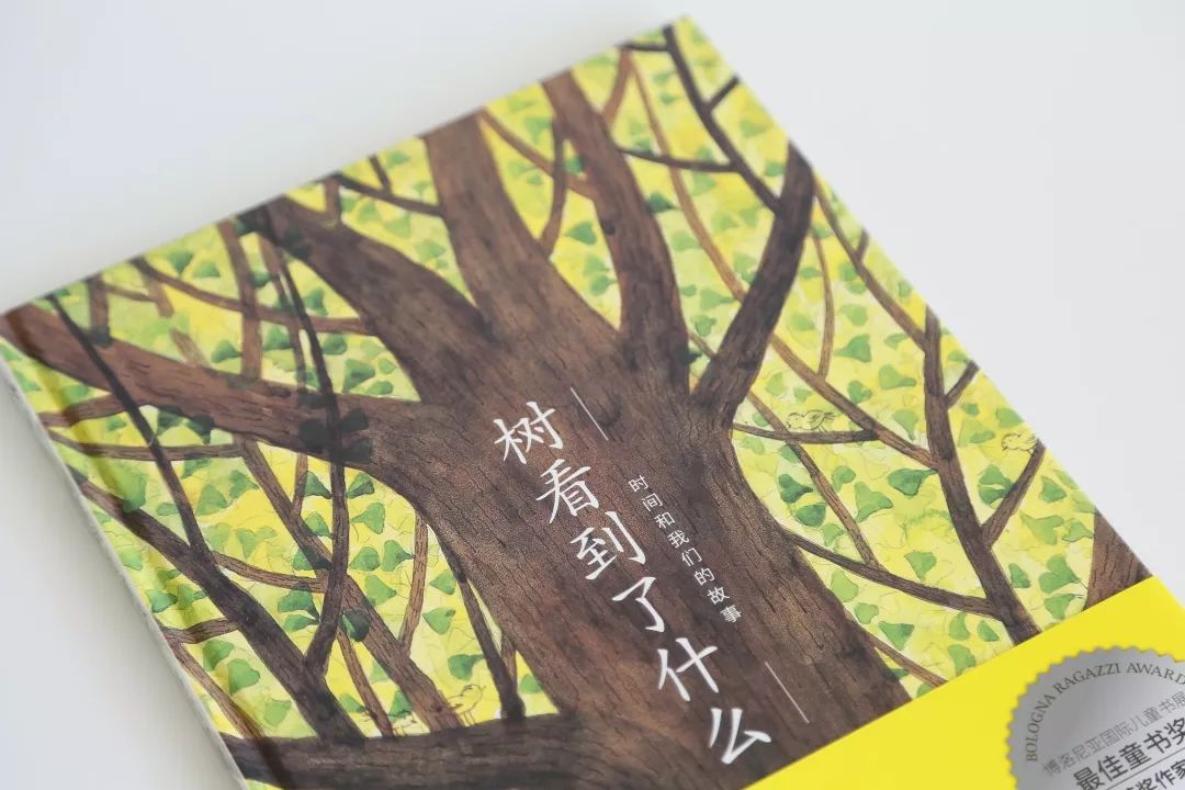 成长的秘密绘本,树看到了什么