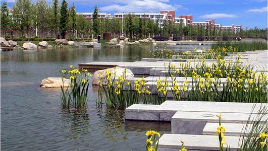 河南考生想上郑大最低多少分,河南考生考上郑州大学厉害吗