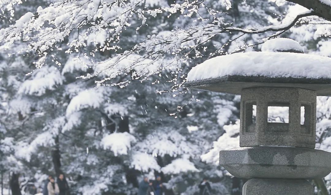 金泽这个名字怎么样,金泽是属于上海还是属于江苏