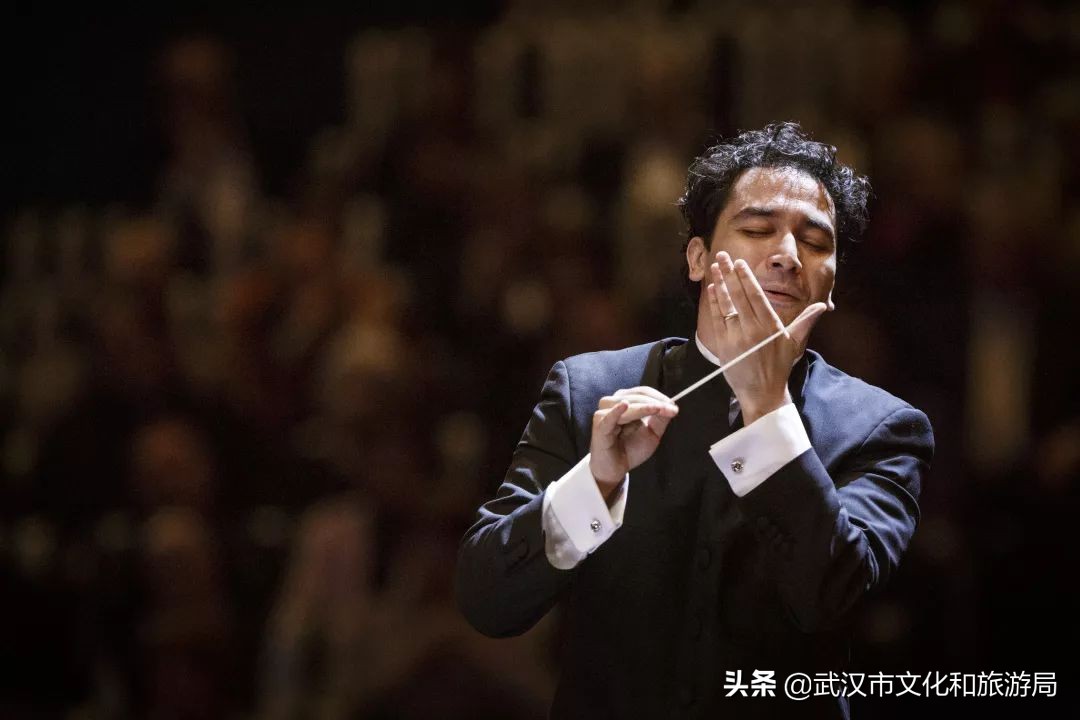 送票|武汉人，请收好这份世间极美的“维也纳金”！