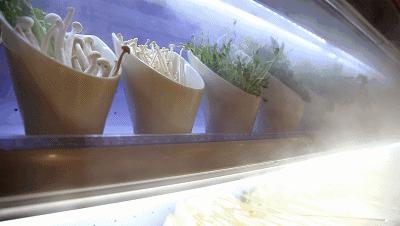 二当家串串香桐梓店,二当家火锅串串桐梓