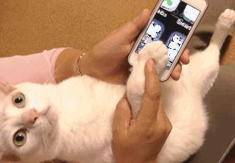 “如果这群女混混*攻围**我,我会舌战群儒!”你会怎样脱困?