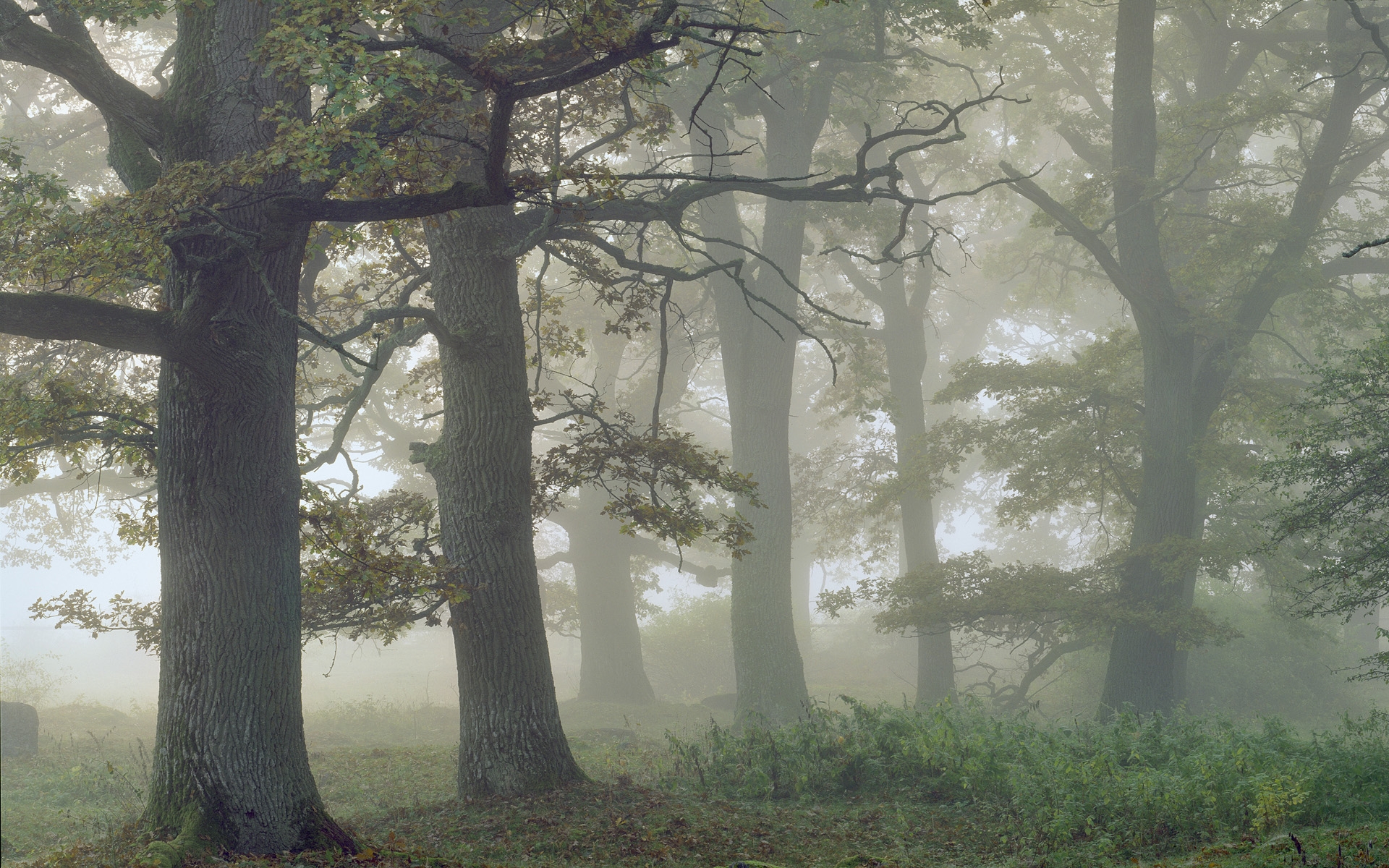 心理学解梦梦到宝剑,一个人学心理学解梦
