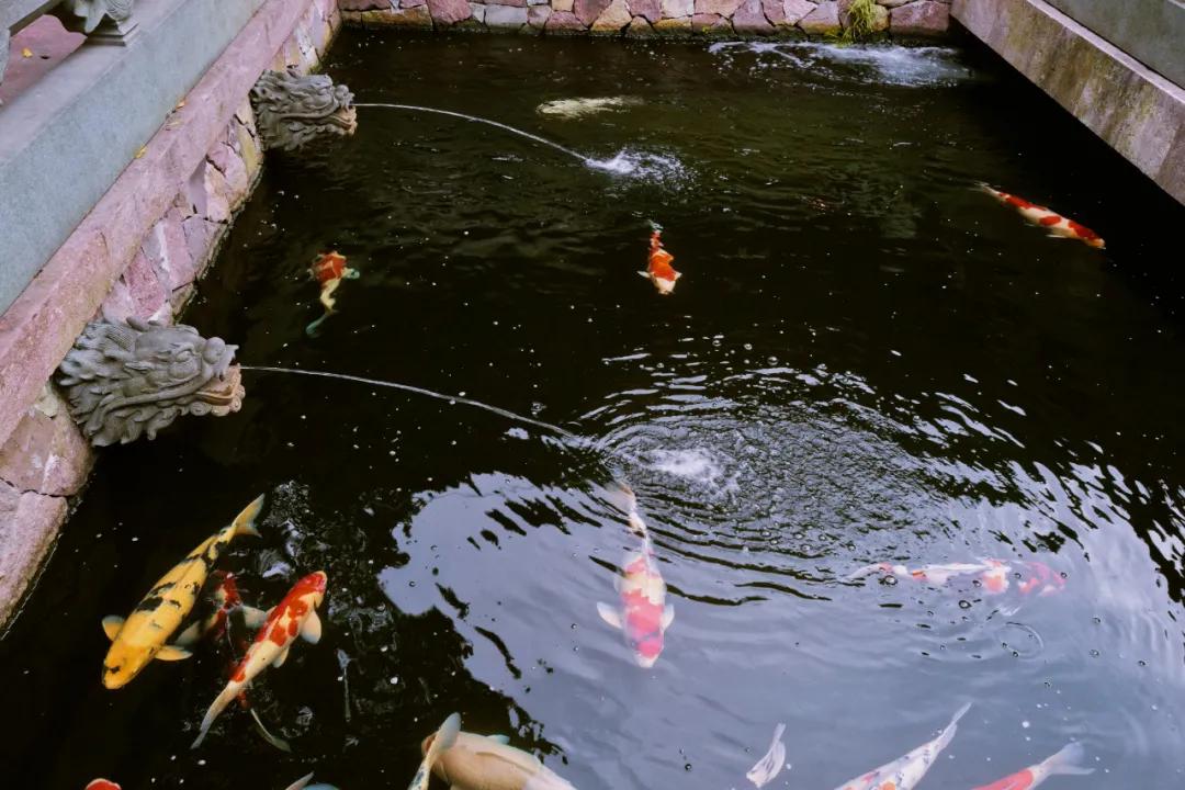 这该死的魅力啊,一个你意料之外的宁波