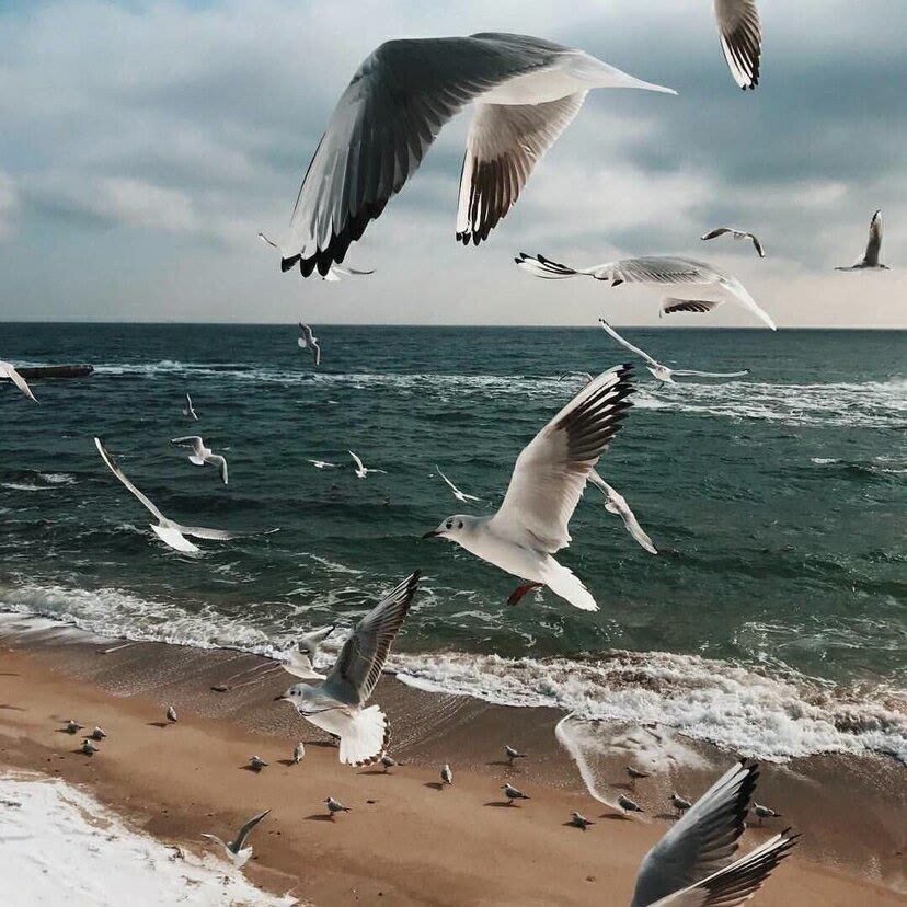 微信背景图一切都是最好的安排,微信背景图希望你一直都在