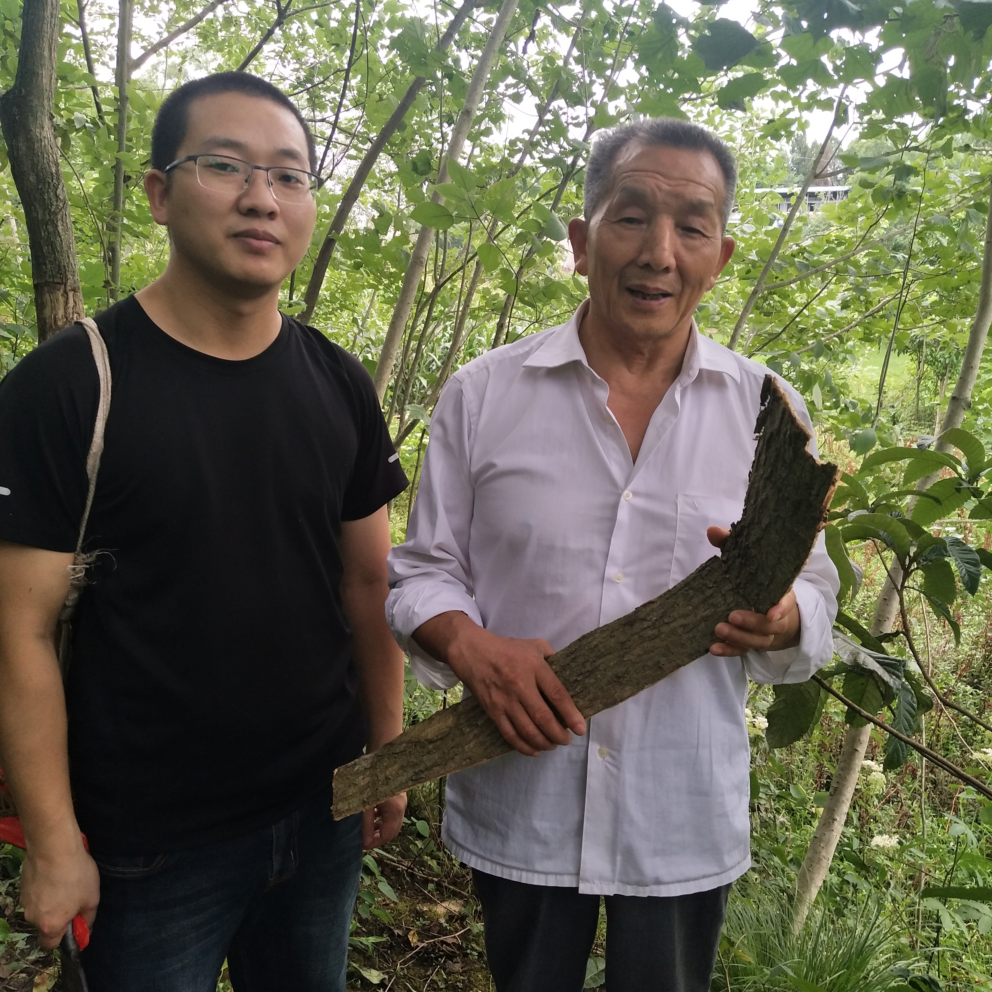 老中医专治腰疼痛,老中医腰疼背疼的治疗