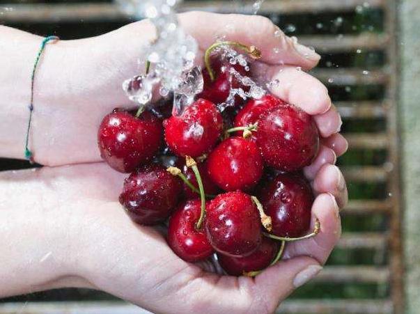 樱桃里面的蛆虫是怎么进去的,樱桃里的虫子是寄生虫吗