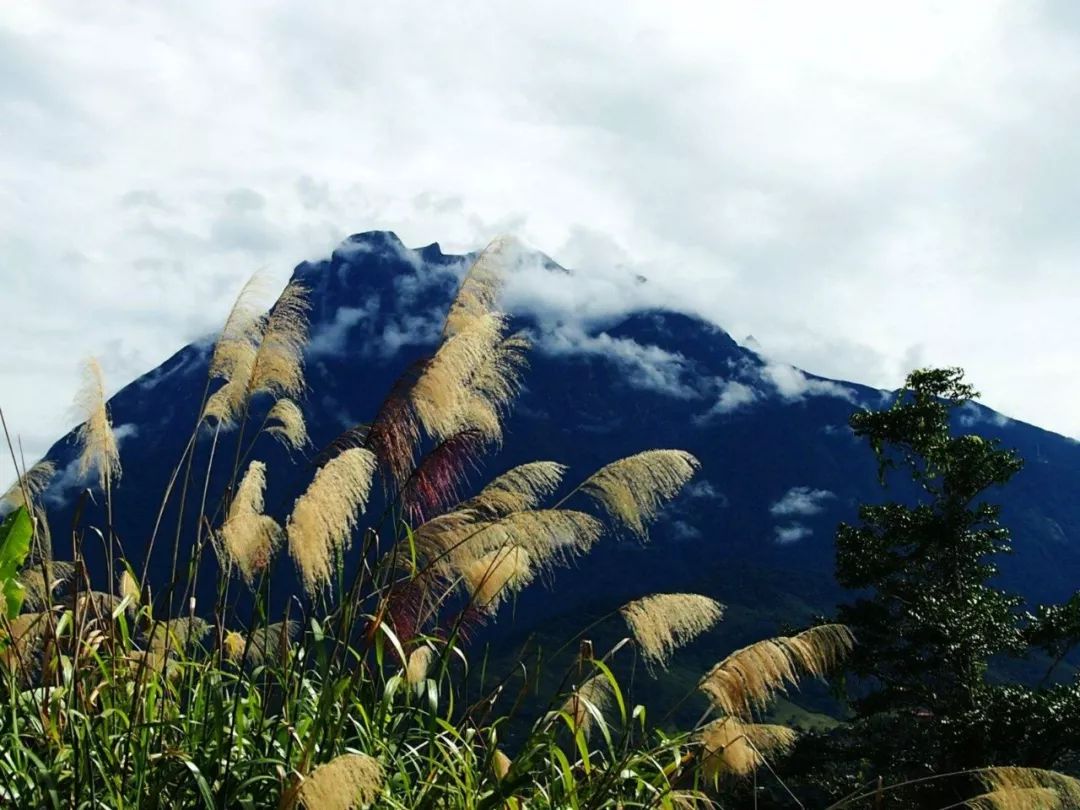 暑期沙巴旅游报价,暑假沙巴